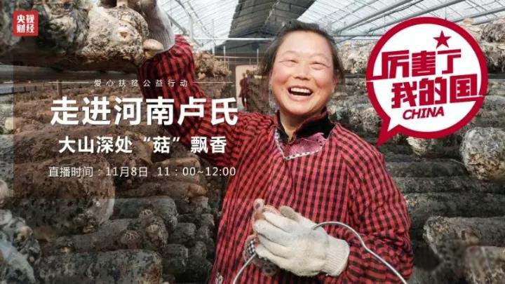 庆祝中国电商扶贫行动·卢氏专场在信念集团杜关香菇基地成功举办